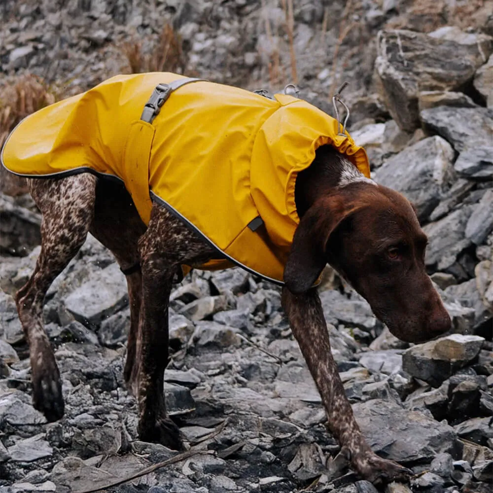 Adjustable Turtleneck Reflective Jacket Dog Human Matching Raincoat