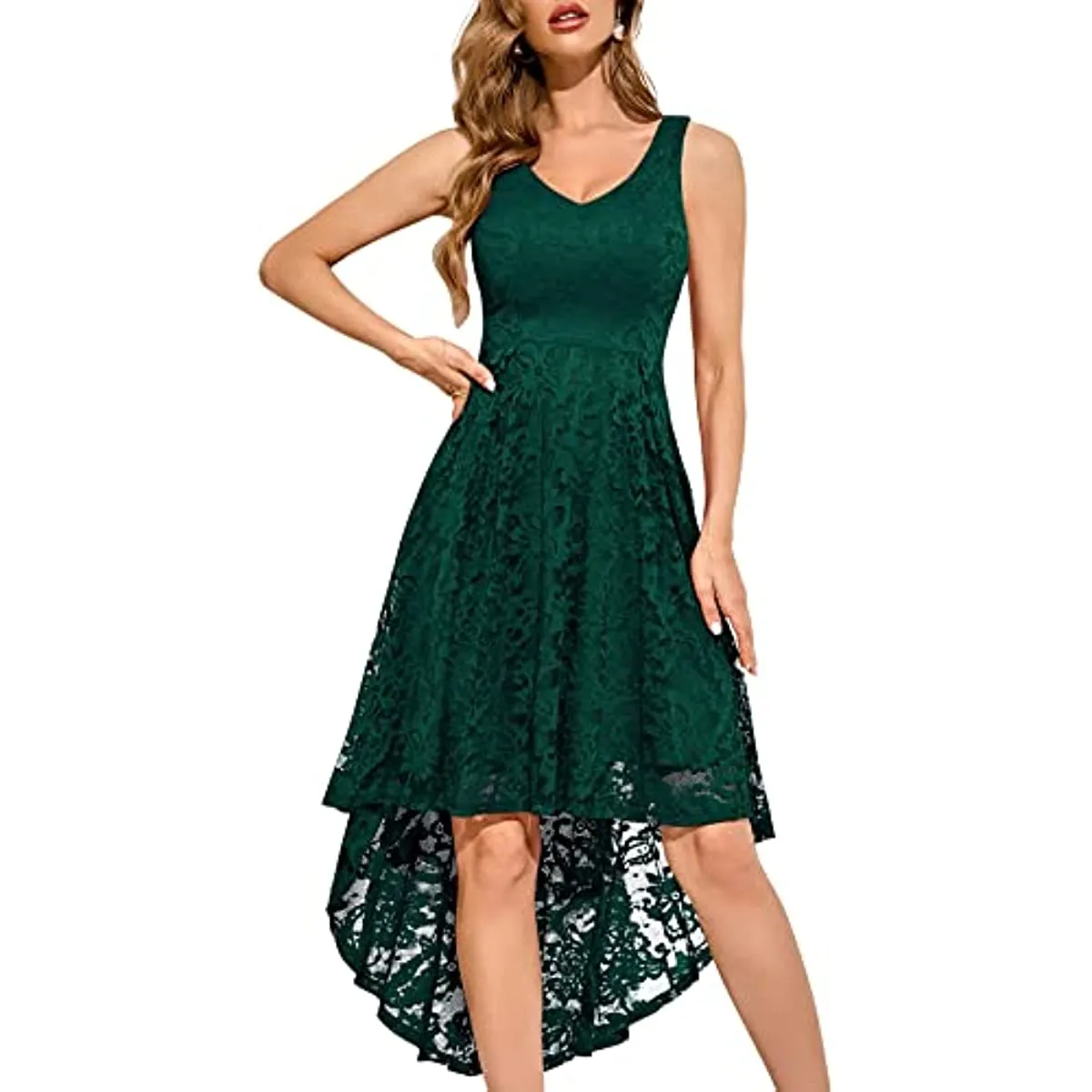 Amy Fashion - Christmas Vintage Floral Lace Sleeveless Formal Swing Dress